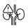 Kidney disease care and treatment at Ashraya Hospital in Wakad